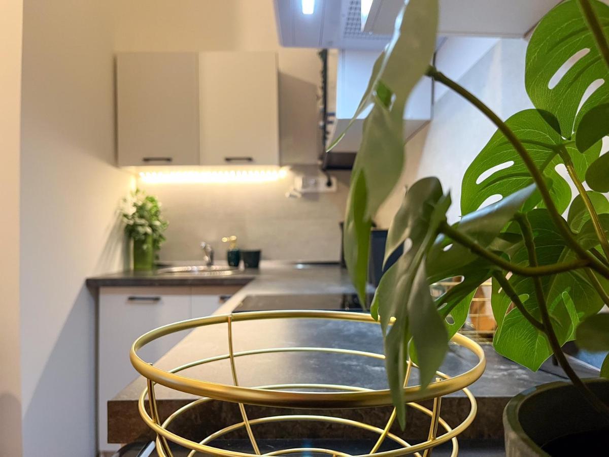 Green Goblin Apartment With Free Private Parking Βουδαπέστη Εξωτερικό φωτογραφία